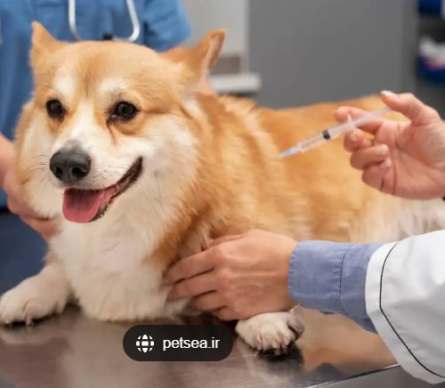 داروهای تزریقی